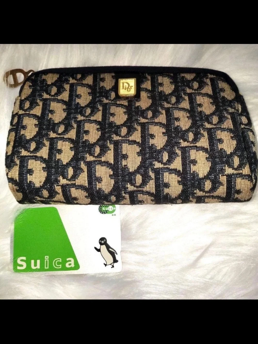 Dior classic monogram